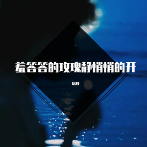 那英-梦一场(Remix)