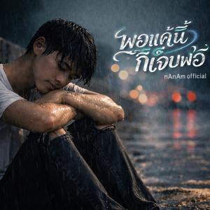 พอแค่นี้ก็เจ็บพอ..