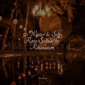 Creek, Waterflow, Stream