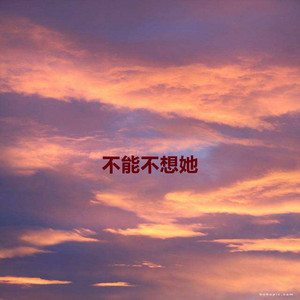 不能不想她
