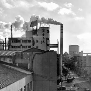 他们想让你回去