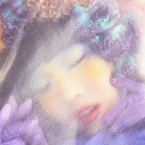 アコガレノヒト