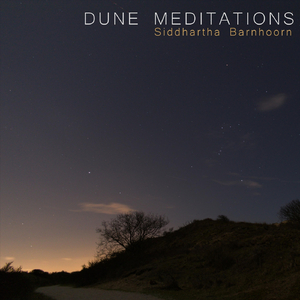 Meditation IV