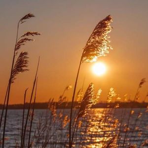 我把往事翻了篇