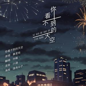 你看不到的天空（翻自 群星）
