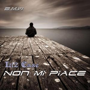 Non Mi Piace (feat. B.M.W)
