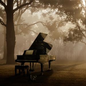 Nocturne in F Minor, "Disquietude"