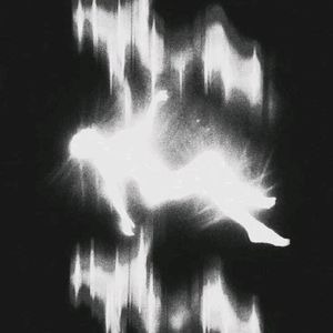 顶梁柱(第二版)