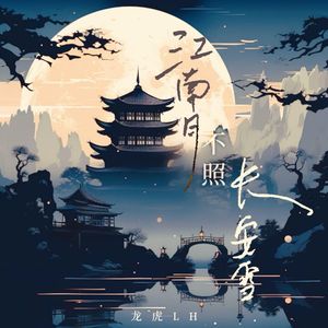 江南月不照长安雪 (DJ版)