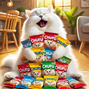 Churu