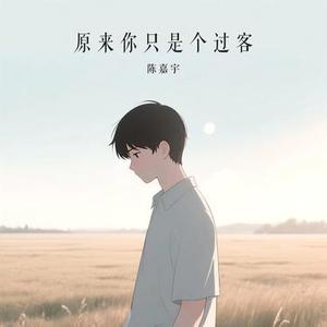 原来你只是个过客