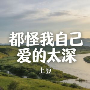 都怪我自己爱的太深