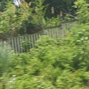 午后小憩的时光 我们晒着太阳