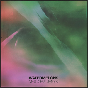 watermelons