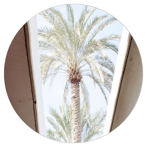 The View from Nowhere