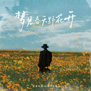 梦见春天野花开 (DJ偏离版)