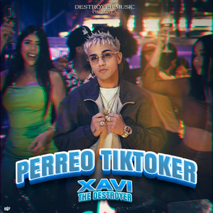 Perreo Tiktoker