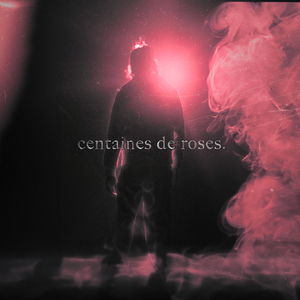 Centaines de Roses