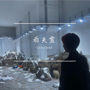 如果有任意门就好了