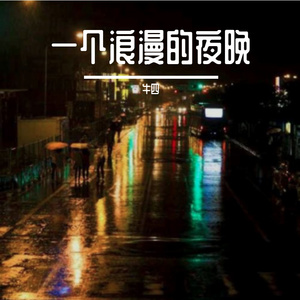 一个浪漫的夜晚