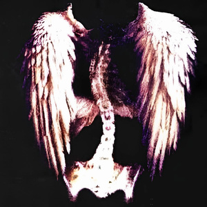 KissTheSky