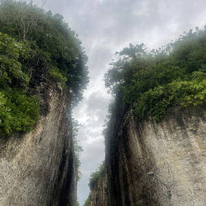 分岔口