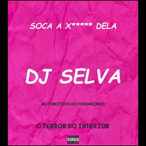 AUTOMOTIVO DO PASSARINHO/SOCA A X***** DELA