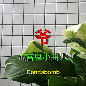 【Free】爷の雷鬼小曲儿