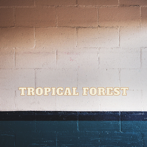 Tropical Forest