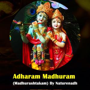 Adharam Madhuram (madhurashtakam) by Naturenadh