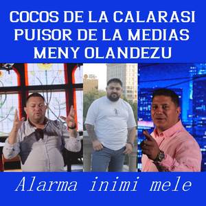 Alarma inimii mele