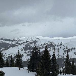 𝒾 𝒿𝓊𝓈𝓉 𝒸𝓇𝒶𝓈𝒽𝑒𝒹 𝓉𝒽𝑒