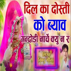 Dil Ka Dosti Ko Byav Gandori Nache Kyu N R (Vishnu Meena Pipli)