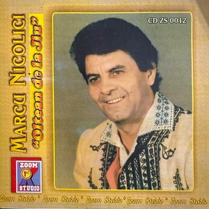 Tinerel mă însurai