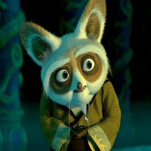 Master Shifu