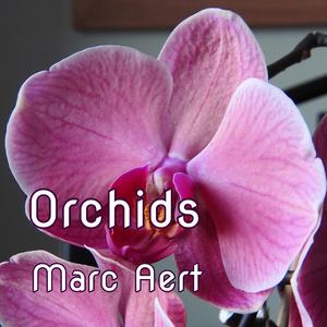 Orchids