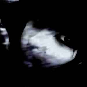 corpse maxxing #meetme@thecrimescene