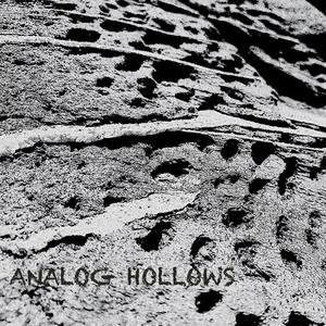 Analog Hollows