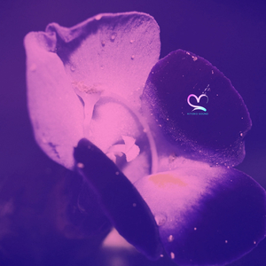 Protective (feat. Arándano, Din BEATS & Kitoko Sound)