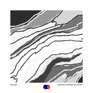 Roam