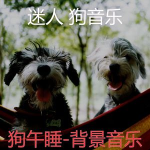 可爱的(睡觉的小狗)