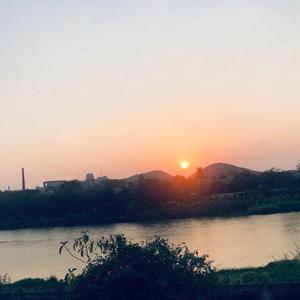 原地旅行 (抖音版）