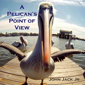 On a John Boat