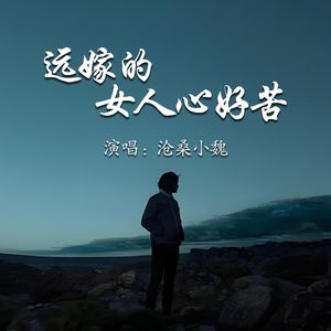 远嫁的女人心好苦（男版）