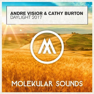 Daylight (Andre Visior 2017 Remix)