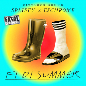 Fi Di Summer