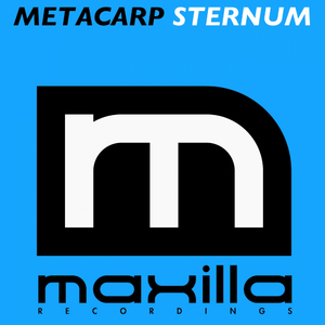 Sternum (Original Mix)