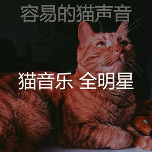 抚慰的小猫回忆