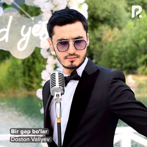 Bir gap bo'lar