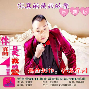 你真的是我的爱（舞曲版）
